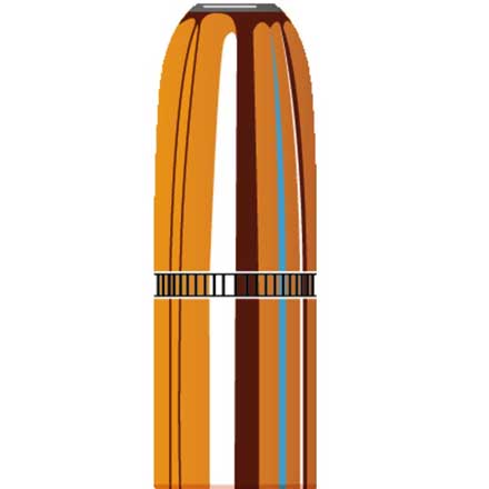 45 Caliber .458 Diameter 500 Grain DGX Bonded Bullet 50 Count