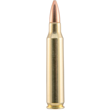 223 Remington 55 Grain FMJBT 50 Rounds