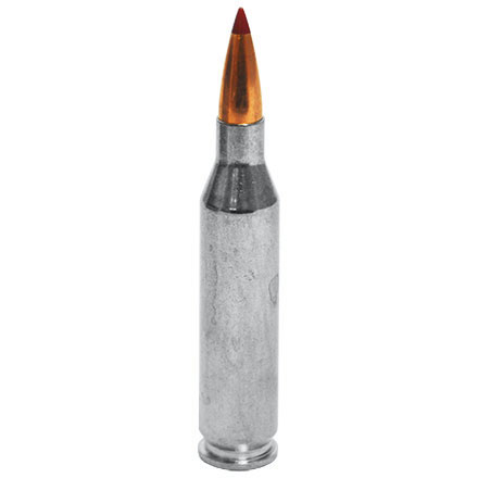 Hornady Outfitter 243 Winchester 80 Grain CX 20 Rounds