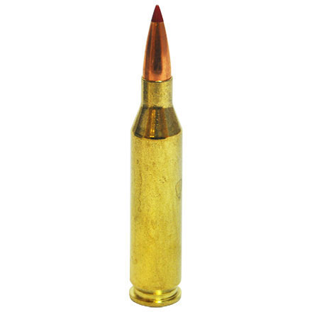 243 Winchester 95 Grain (SST) Super Shock Tipped Superformance 20 Rounds