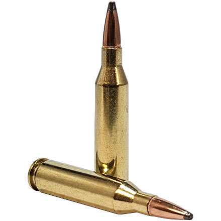 Hornady American Whitetail 243 Winchester 100 Grain Interlock 20 Rounds