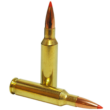 Hornady Varmint Express 6.5mm Creedmoor 95 Grain V-Max 20 Rounds