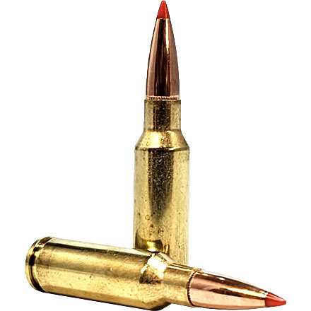 Hornady Custom 6.5 Grendel 123 Grain SST 20 Rounds