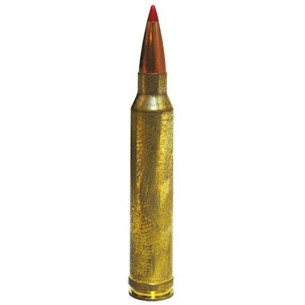 Hornady Precision Hunter 300 Winchester Magnum 200 Grain ELD-X 20 Rounds