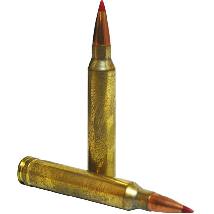 Hornady Precision Hunter 300 Winchester Magnum 200 Grain ELD-X 20 Rounds