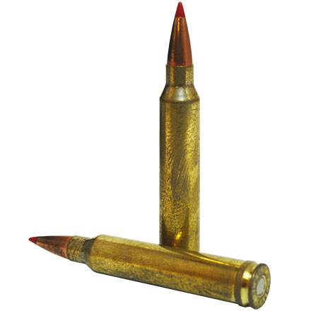 Hornady Superformance 300 Winchester Magnum 165 Grain CX 20 Rounds