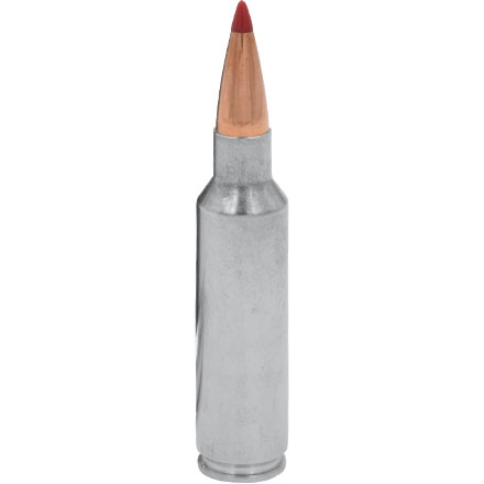Hornady Outfitter 300 Winchester Short Magnum 180 Grain CX 20 Rounds