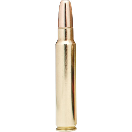 375 H&H Mag 300 Grain (DGX) Dangerous Game Expanding Bonded 20 Rounds