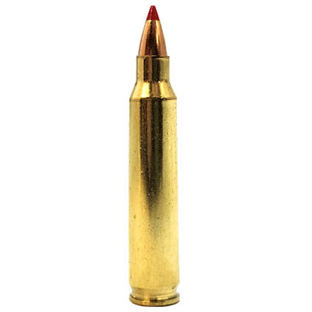 Hornady Superformance Varmint 204 Ruger 32 Grain V-Max 20 Rounds