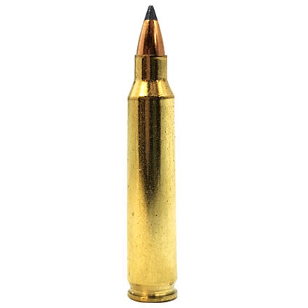 Hornady Superformance Varmint 204 Ruger 24 Grain Lead-Free NTX 20 Rounds