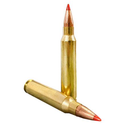 Hornady Varmint Express 223 Remington 55 Grain V-Max 20 Rounds