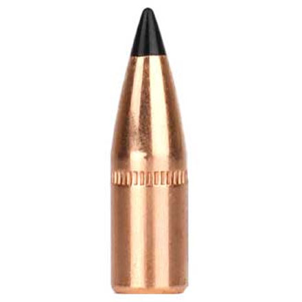 Midsouth Exclusive 22 Caliber .224 Diameter 55 Grain Bulk Poly Tip 250 Count