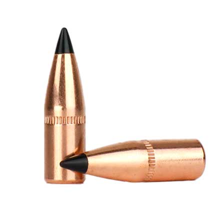 Midsouth Exclusive 22 Caliber .224 Diameter 55 Grain Bulk Poly Tip 250 Count