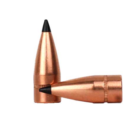 Midsouth Exclusive 30 Caliber .308 Diameter 110 Grain Bulk Poly Tip 250 Count