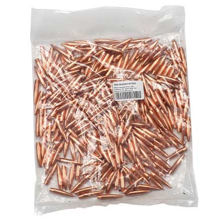 Match Monster 6mm .243 Diameter 107 Grain Boat Tail Hollow Point 250 Count