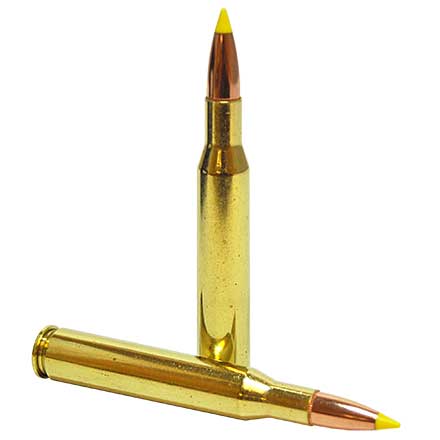 270 Winchester 140 Grain Ballistic Tip 20 Rounds