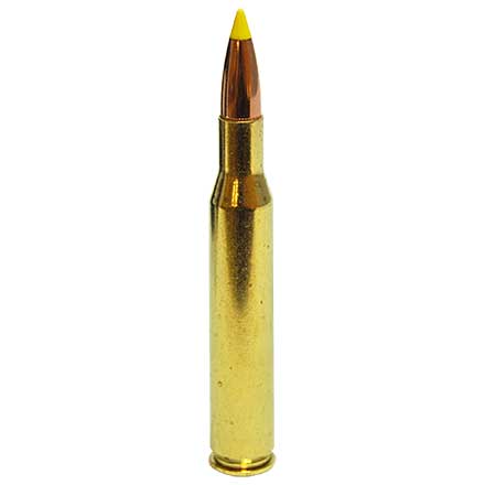 270 Winchester 130 Grain Ballistic Tip 20 Rounds