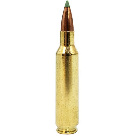 22 Nosler 55 Grain E-Tip  20 Rounds
