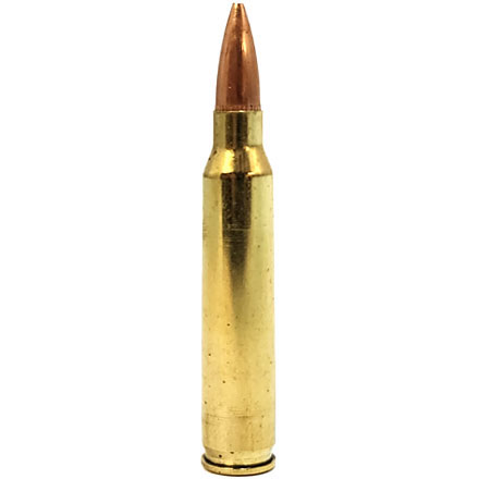 Nosler Varmageddon 223 Remington 62 Grain Flat Base Hollow Point 20 Rounds