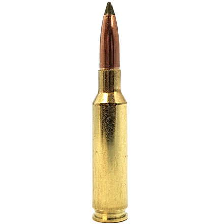 260 Remington 120 Grain E-Tip 20 Rounds