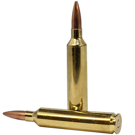 Nosler Match Grade 26 Nosler 140 Grain Custom Competition Hollow Point Boat Tail 20 Rounds