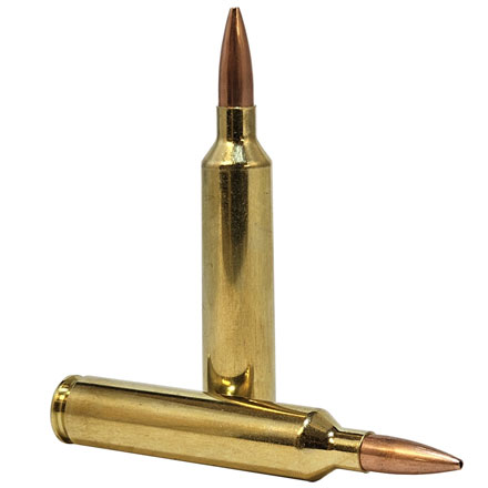 Nosler Match Grade 26 Nosler 140 Grain Custom Competition Hollow Point Boat Tail 20 Rounds