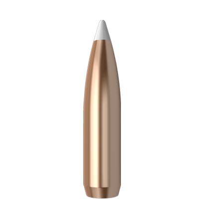 25 Caliber .257 Diameter 110 Grain AccuBond 50 Count
