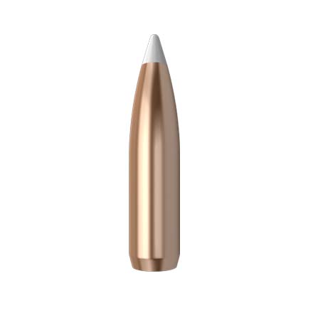 6mm .243 Diameter 90 Grain AccuBond 50 Count