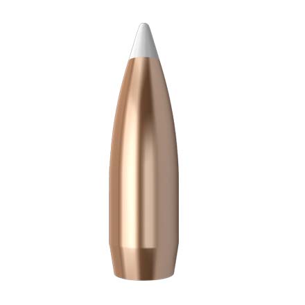 338 Caliber .338 Diameter 180 Grain AccuBond 50 Count