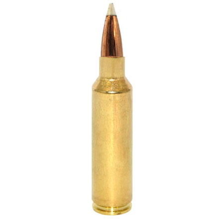 300 Winchester Short Mag (WSM) 180 Grain AccuBond Trophy Grade 20 Rounds