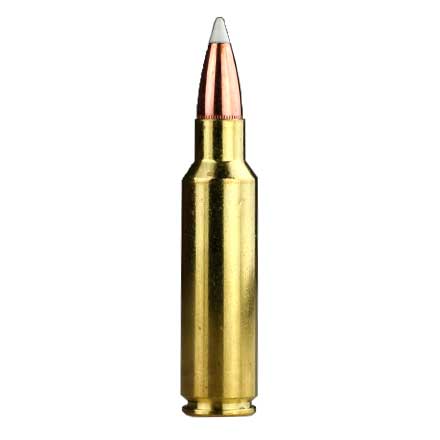 325 Winchester Short Mag (WSM) 200 Grain AccuBond Trophy Grade 20 Rounds