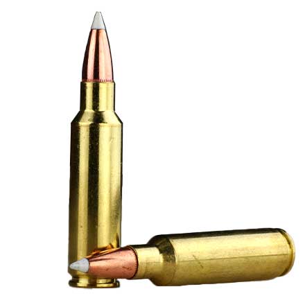 325 Winchester Short Mag (WSM) 200 Grain AccuBond Trophy Grade 20 Rounds