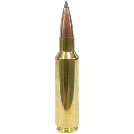 300 Winchester Short Mag (WSM) 190 Grain Long Range AccuBond 20 Rounds