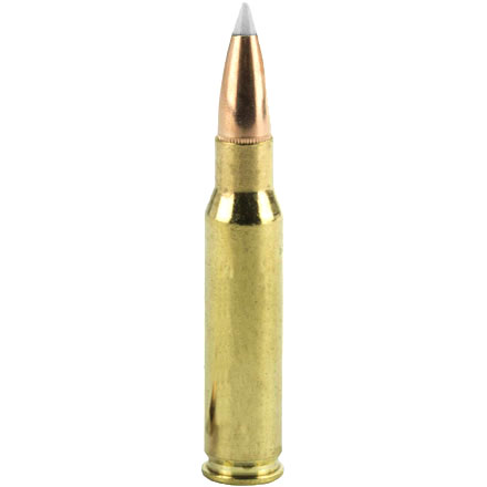 Nosler Trophy Grade Long Range 7mm Remington Magnum 168 Grain ABLR 20 Rounds