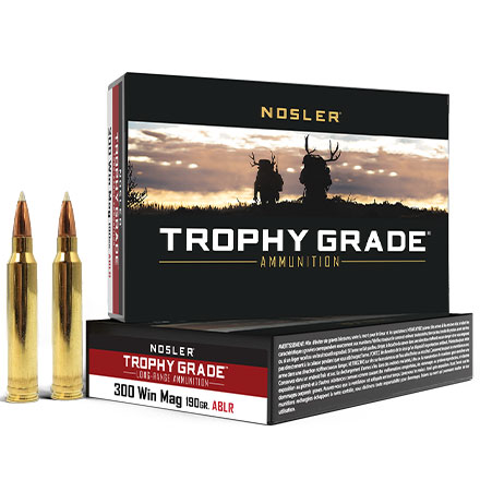 300 Winchester Mag 190 Grain Long Range AccuBond 20 Rounds