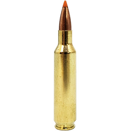 22 Nosler 55 Grain Ballistic Tip Varmint 20 Rounds
