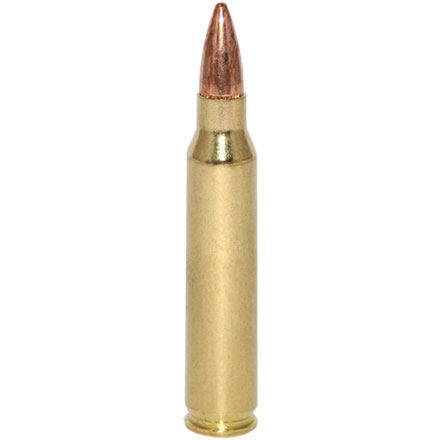 Federal American Eagle 223 Remington 62 Grain Full Metal Jacket Boat Tail 20 Rounds