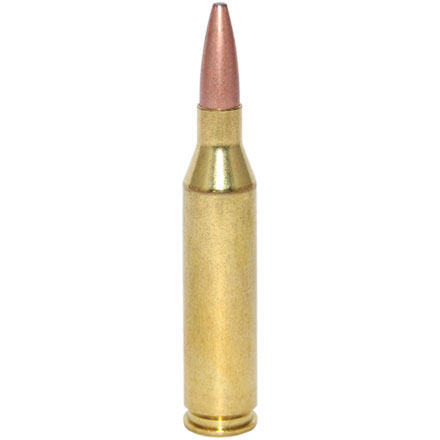 243 Winchester 95 Grain Fusion 20 Rounds