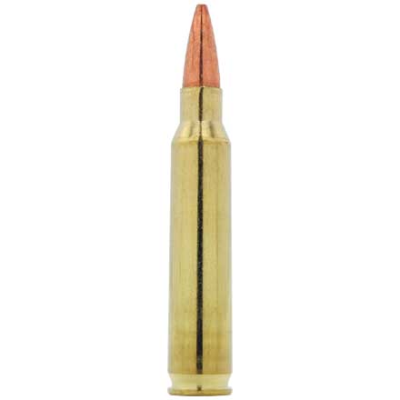 5.56x45 70 Grain TSX Boat Tail 20 Rounds