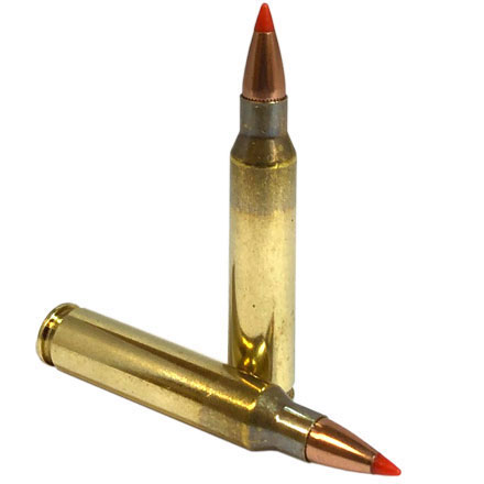 Fiocchi Field Dynamics 204 Ruger 40 Grain V-Max 50 Rounds