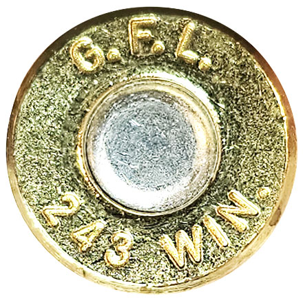 Fiocchi 243 Winchester 100 Grain Pointed Soft Point 20 Rounds