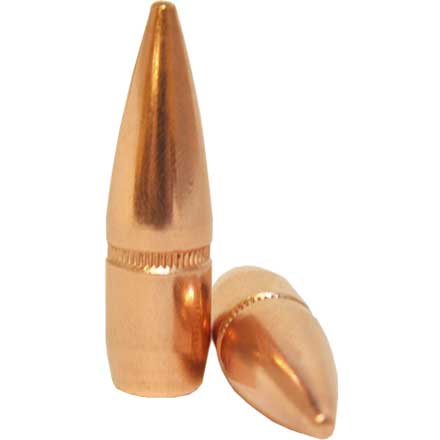 30 Caliber 308 Diameter 150 Grain Full Metal Jacket Boat Tail 250 Count