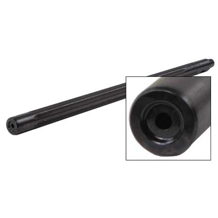 Ruger 10/22 20