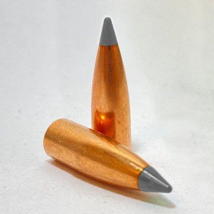 BLEM 30 Caliber .308 Diameter 125 Grain FB Poly Tipped Hunting Bullet 250 Count
